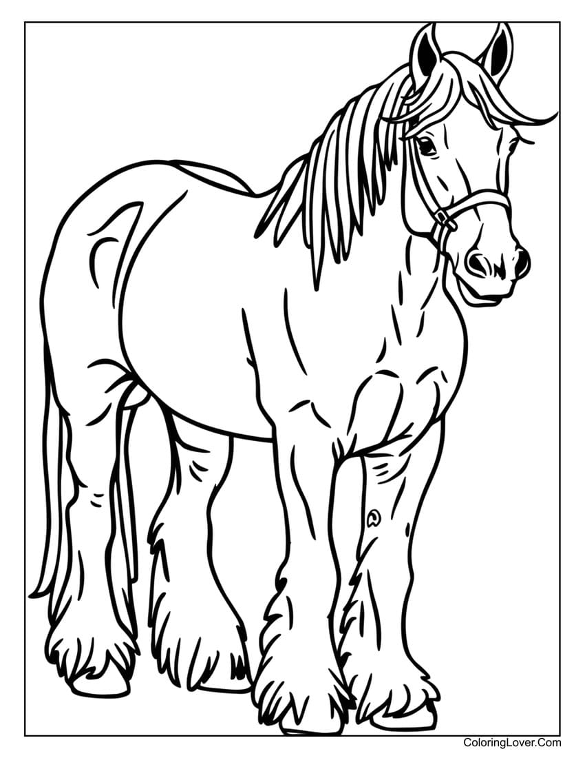 horse printable coloring pages