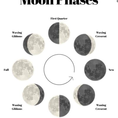 13 Free Printable Moon Phases Worksheets The 8 Phases Of The Moon