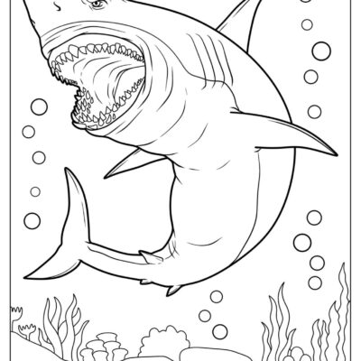 34 Shark Coloring Pages Free PDF Printables