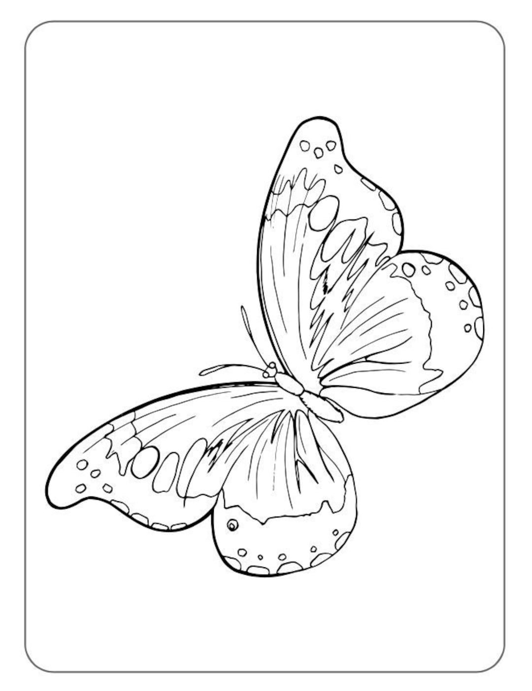 printable butterflies to color