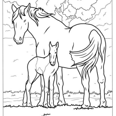 44 Horse Coloring Pages Free PDF Printables