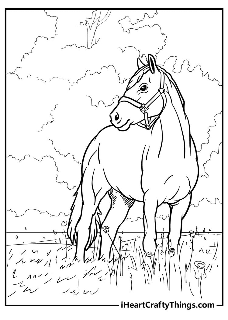 65 Horse Coloring Pages 100 Free Printables 