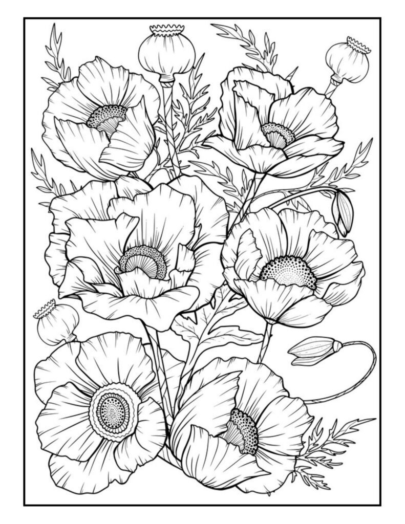 printable coloring pages flower