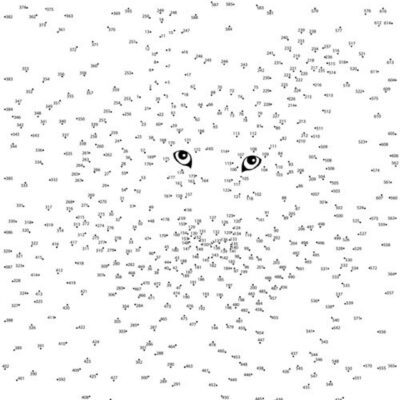 Animal Extreme Difficulty Dot to dot Connect The Dots Vol 1 PDF Etsy