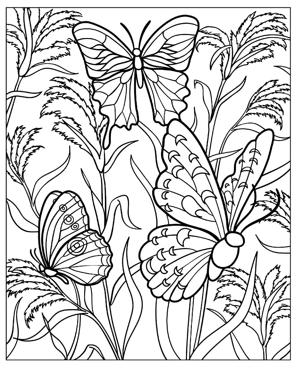 printable pictures to color of butterflies printable pictures to color of butterflies
