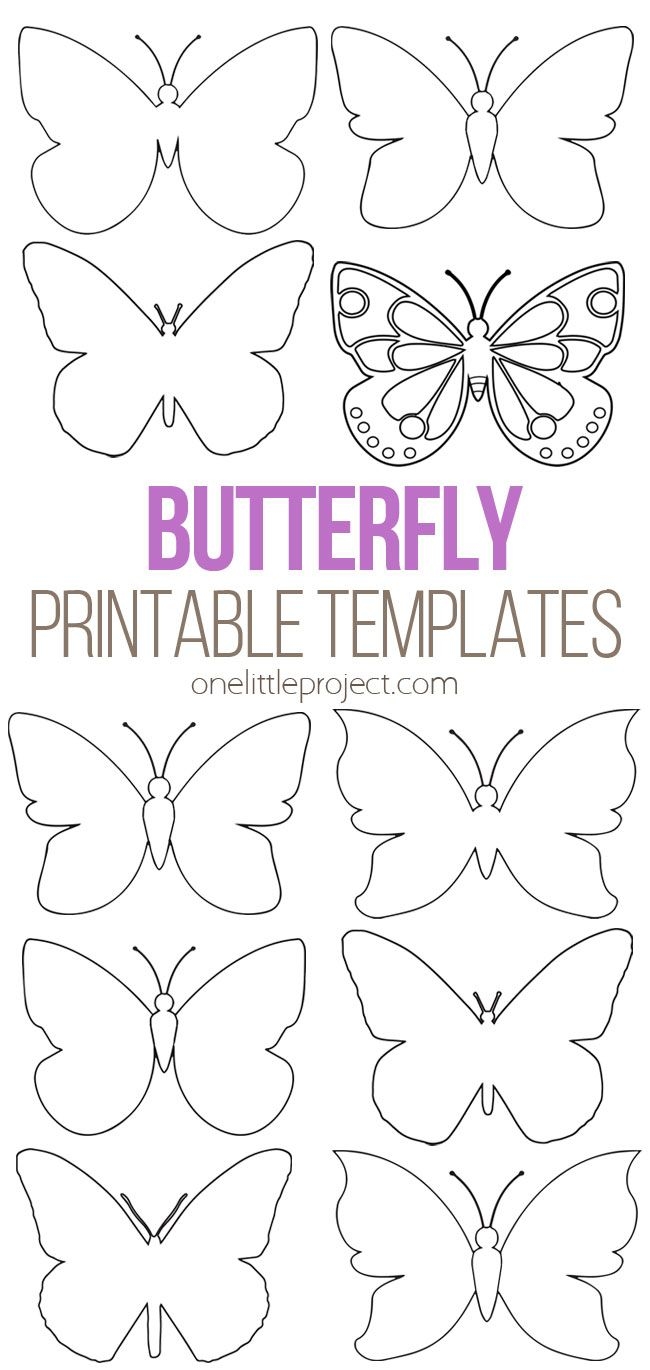 butterfly template free printable