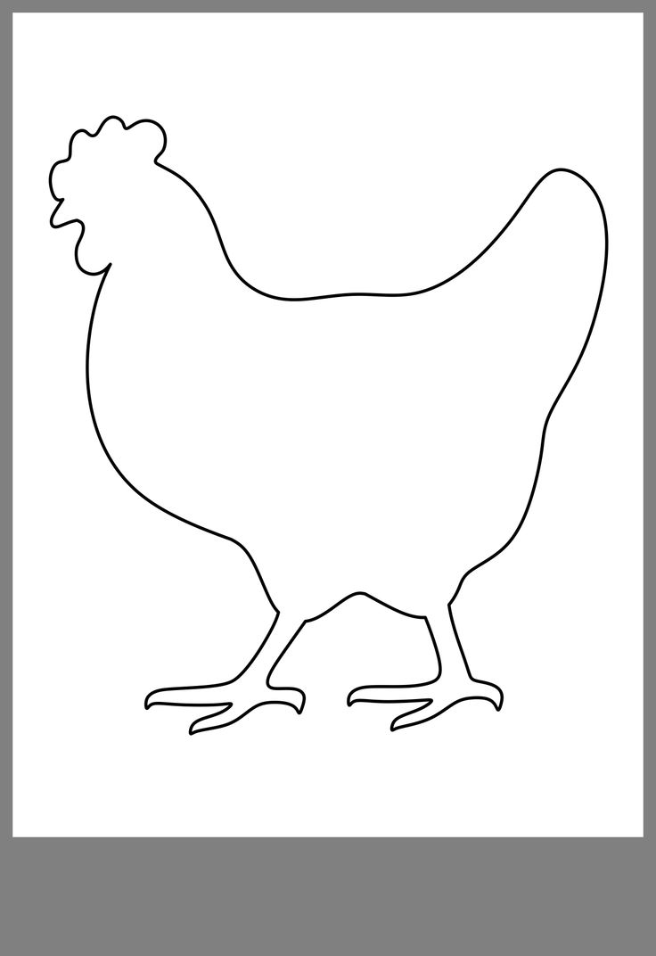 Chicken Template Chicken Template