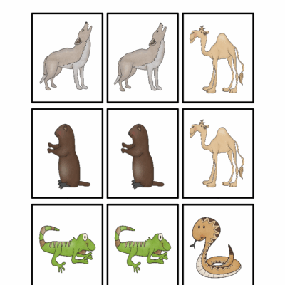 Desert Animal Printables Teaching Mama
