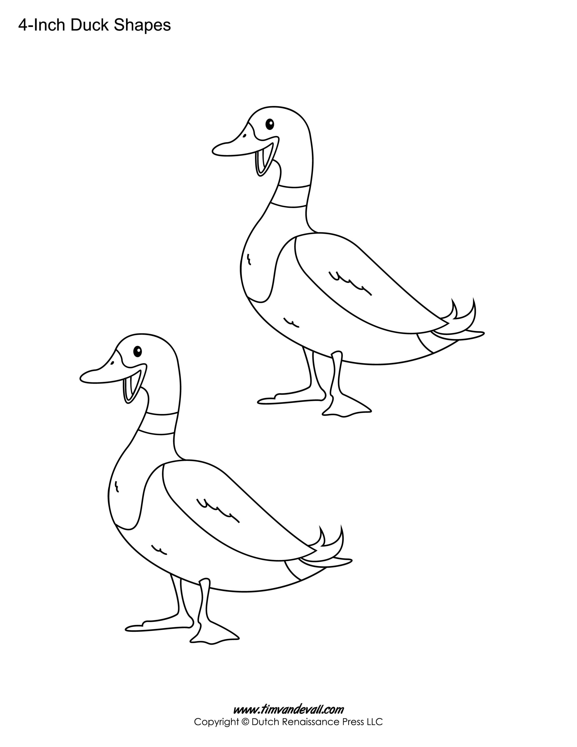 duck template printable duck template printable