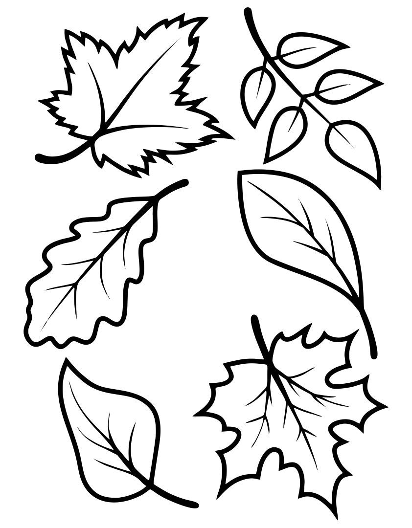 Fall Leaves Templates 10 Free PDF Printables Printablee Fall Leaves Templates 10 Free PDF Printables Printablee