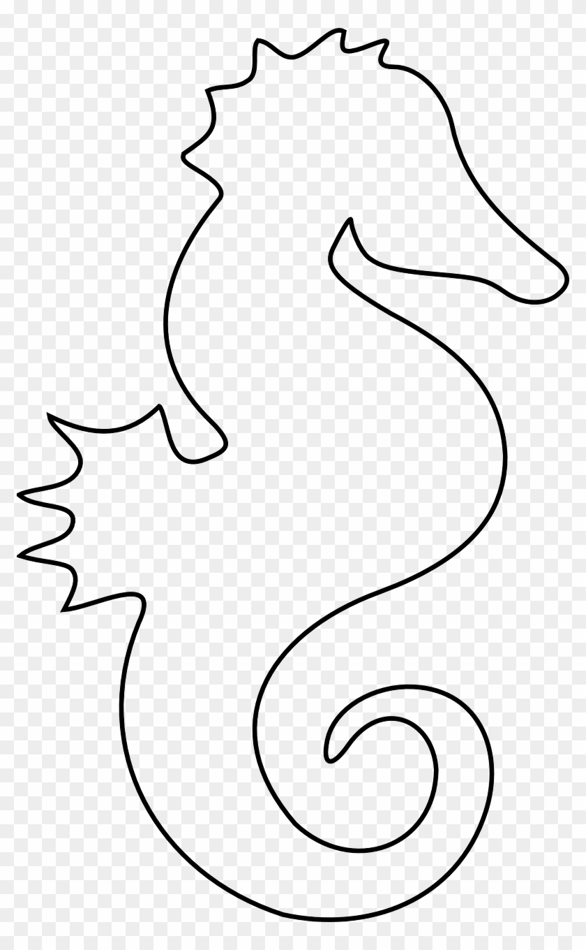 Fish Outlines New Free Image On Pixabay Seahorse Ocean Printable Seahorse Template Free Transparent PNG Clipart Images Download Fish Outlines New Free Image On Pixabay Seahorse Ocean Printable Seahorse Template Free Transparent PNG Clipart Images Download