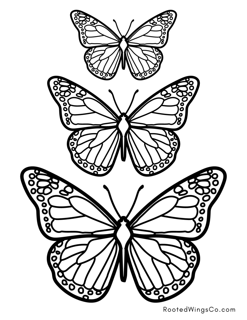 Free Butterfly Coloring Pages For Kids Or Adults Free Butterfly Coloring Pages For Kids Or Adults