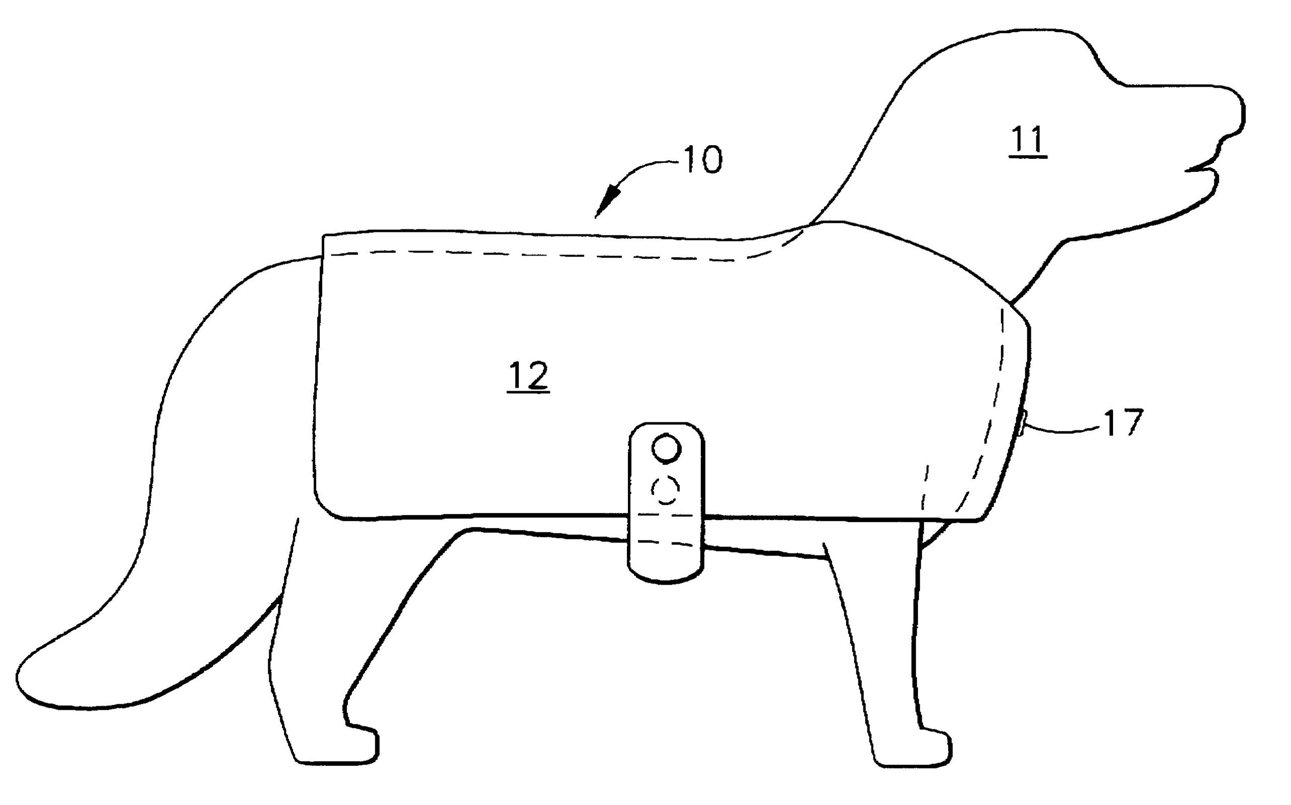 Free Dog Jacket Pattern Sewing
