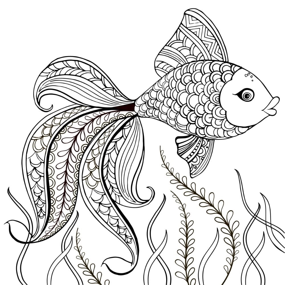 printable fish coloring pages printable fish coloring pages