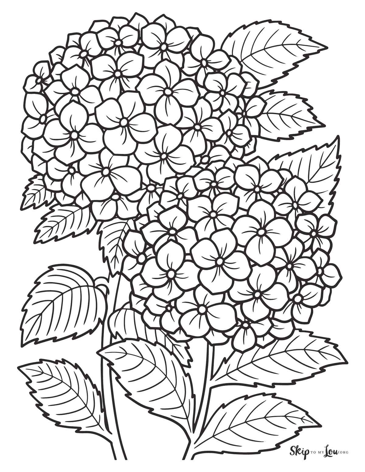 coloring pages flowers free printable coloring pages flowers free printable