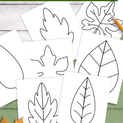 Free Leaf Templates Outlines Tons Of Printables