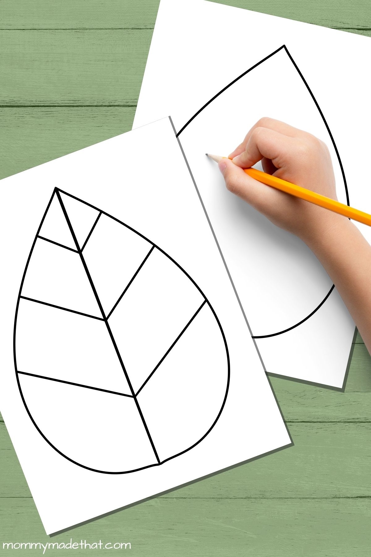 Free Leaf Templates Outlines Tons Of Printables  Free Leaf Templates Outlines Tons Of Printables