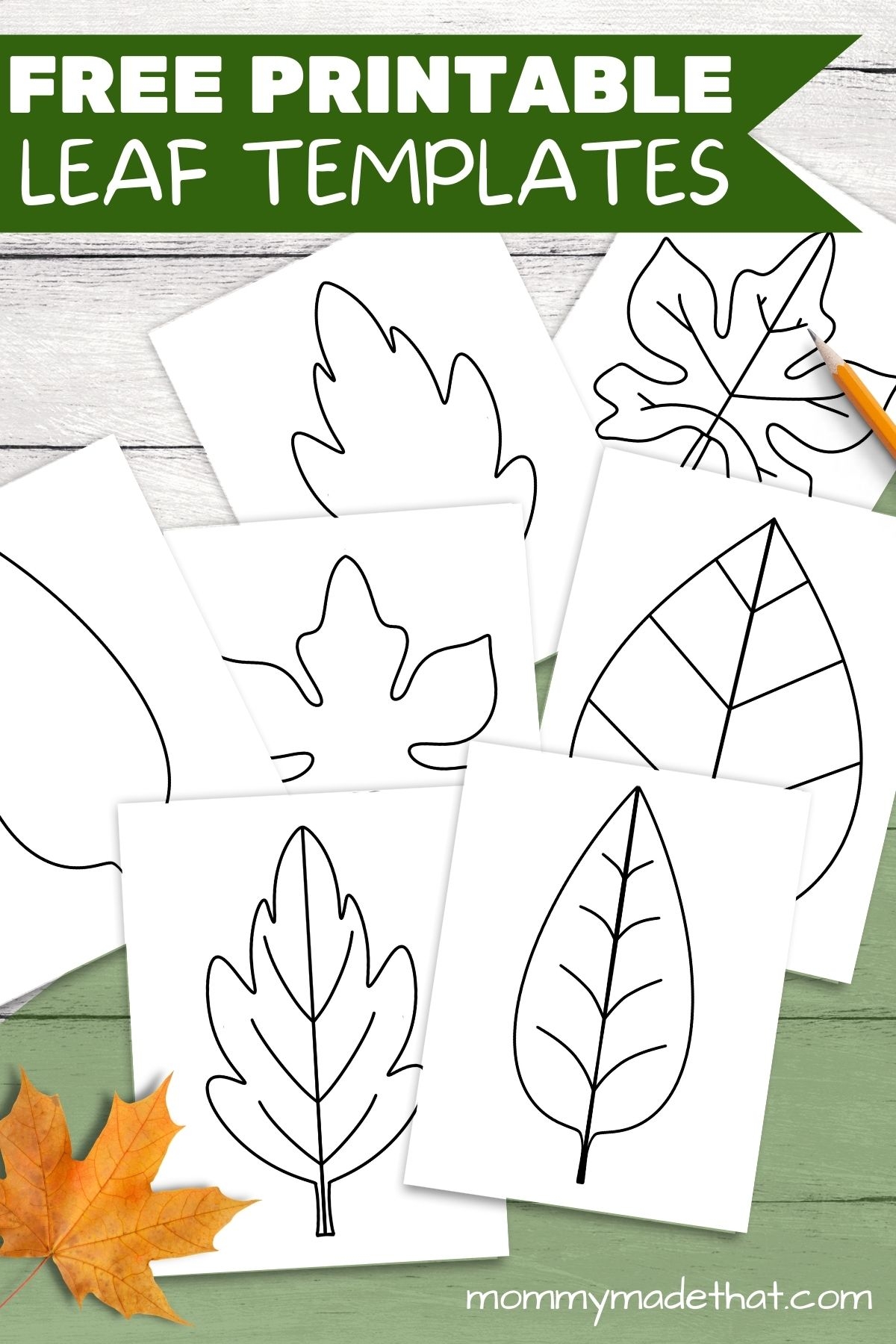 printable leaf templates