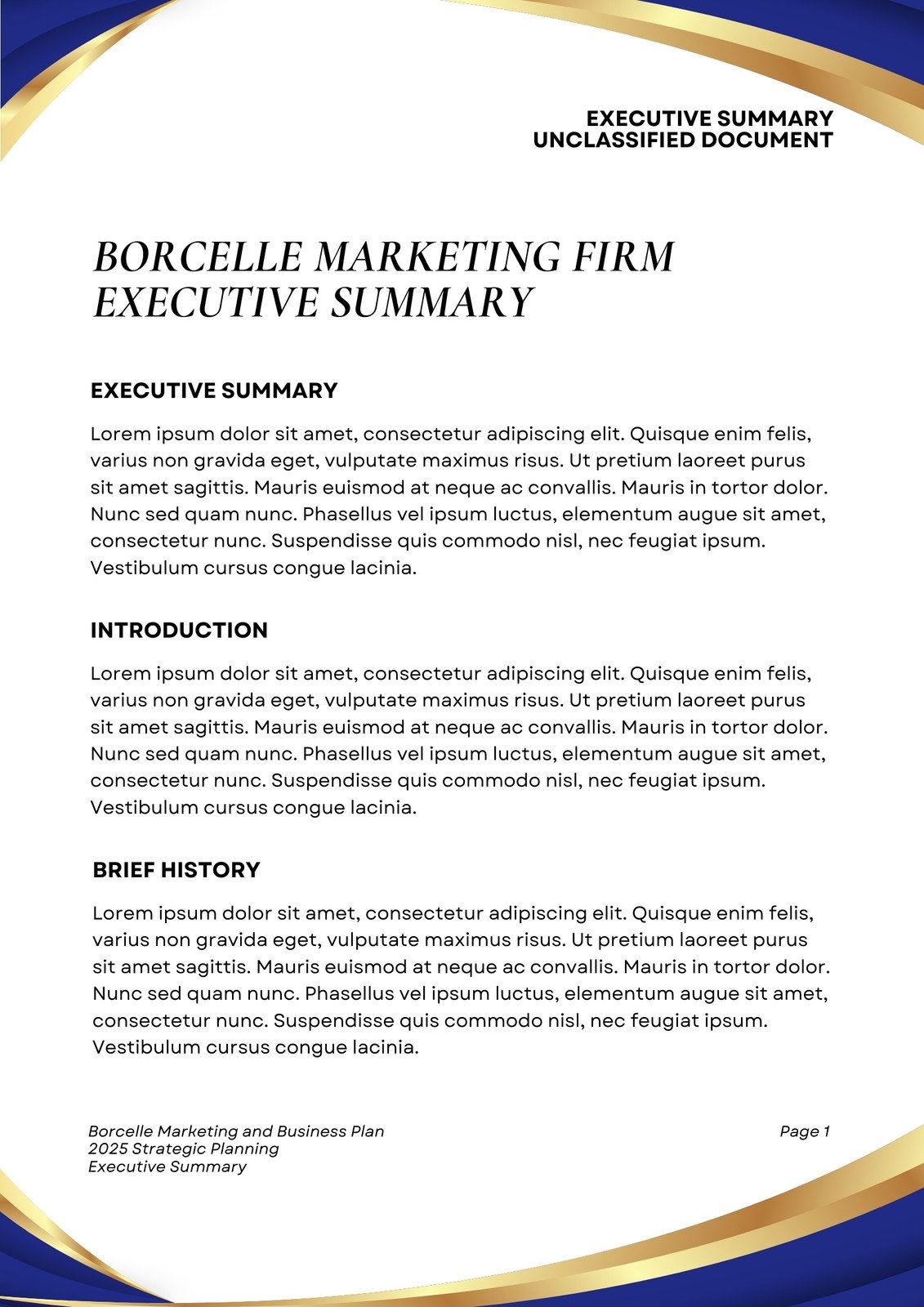 Free Printable Executive Summary Templates Canva