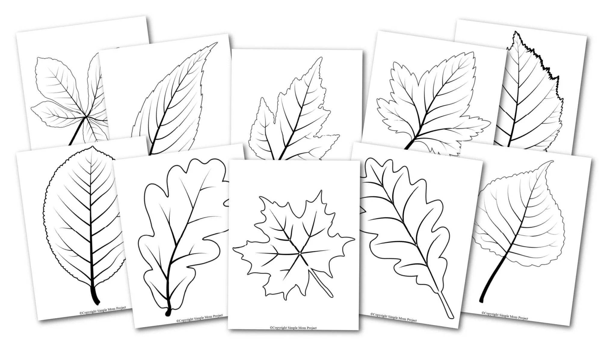 Free Printable Large Leaf Templates Stencils And Patterns Simple Mom Project