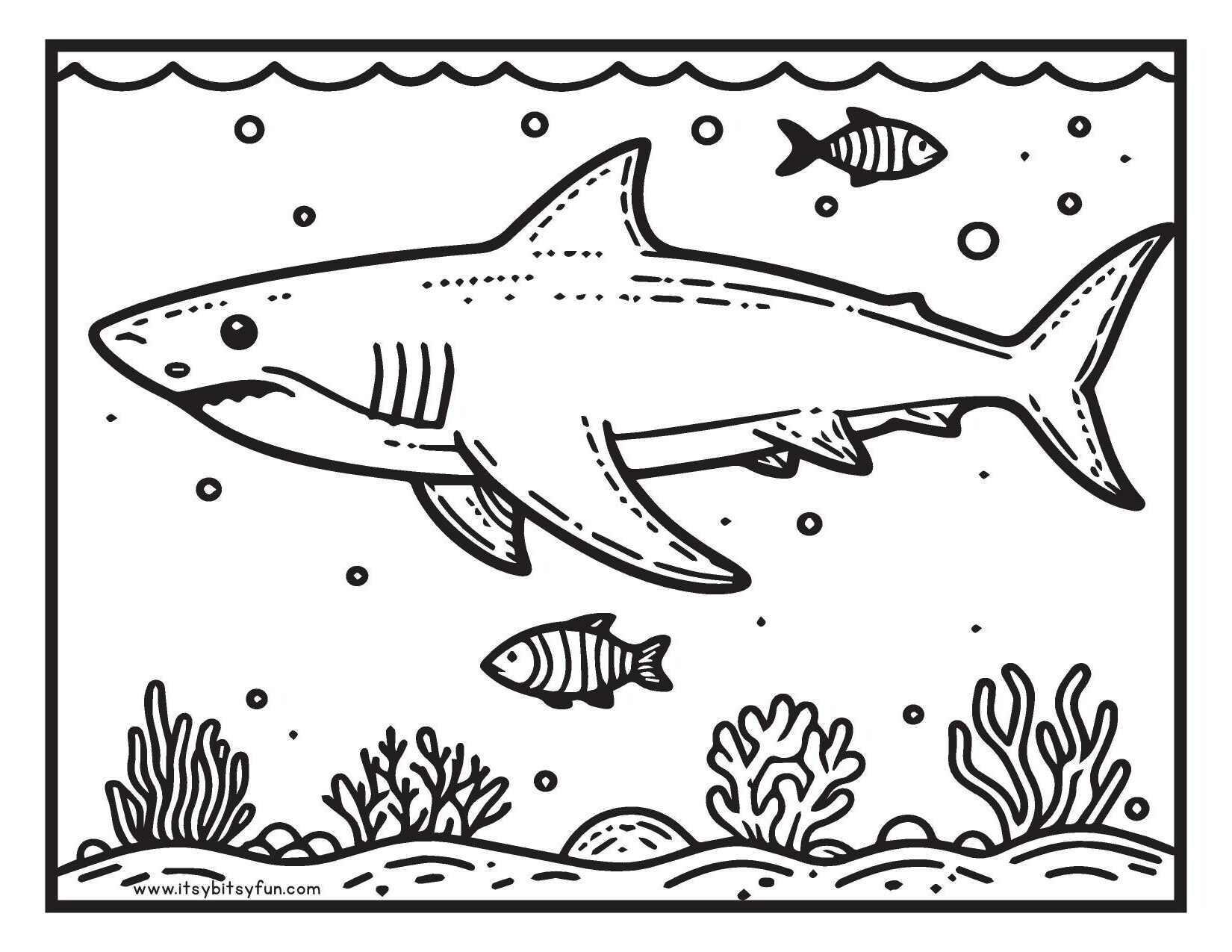 coloring pages of sharks printable coloring pages of sharks printable