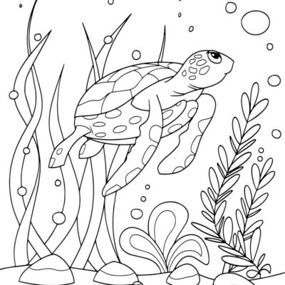 Free TURTLE Coloring Pages For Download Printable PDF