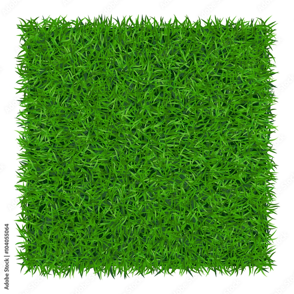 Green Grass Background Lawn Nature Abstract Field Texture Symbol Of Summer Plant Eco And Natural Growth Or Fresh Design For Card Banner Meadow Template For Print Products Vector Illustration Stock Vector 