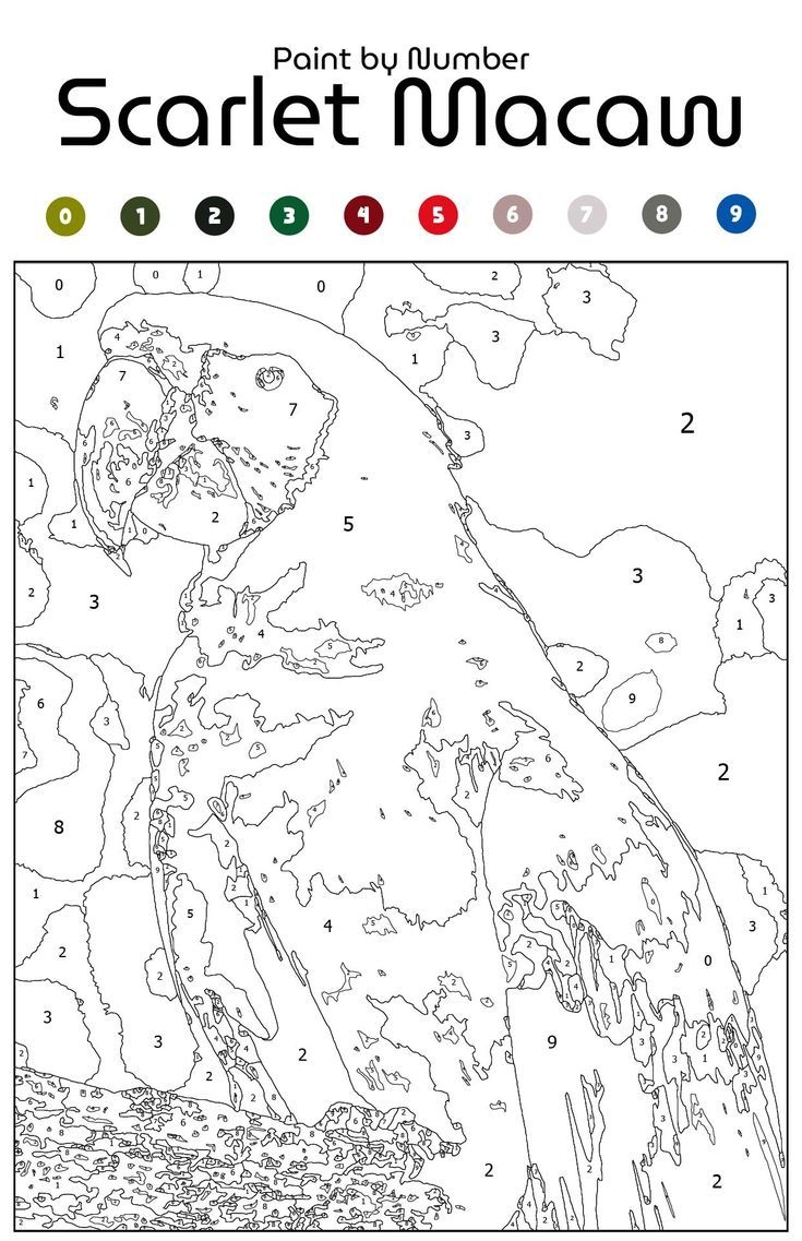 Paint By Number Printable Templates Paint By Number Printable Templates