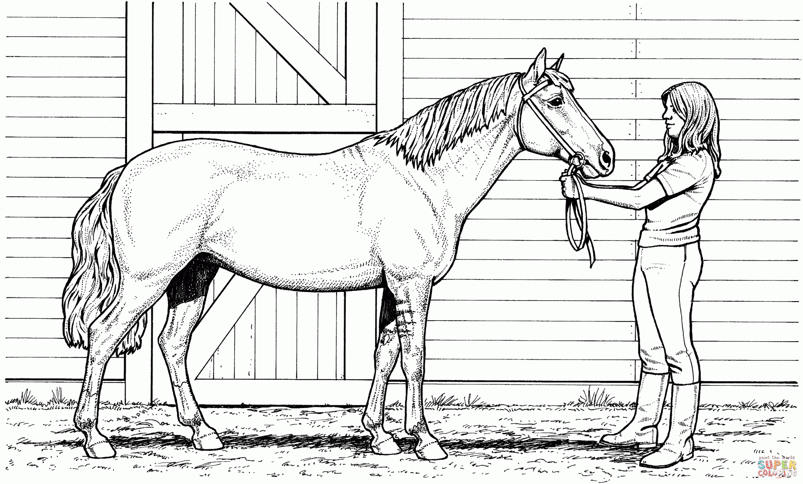 printable coloring pages of horses printable coloring pages of horses