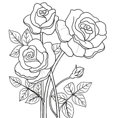Printable Floral Coloring Sheets Coloring Pages Adult Coloring Pages Kids Coloring Pages Coloring Flowers Etsy