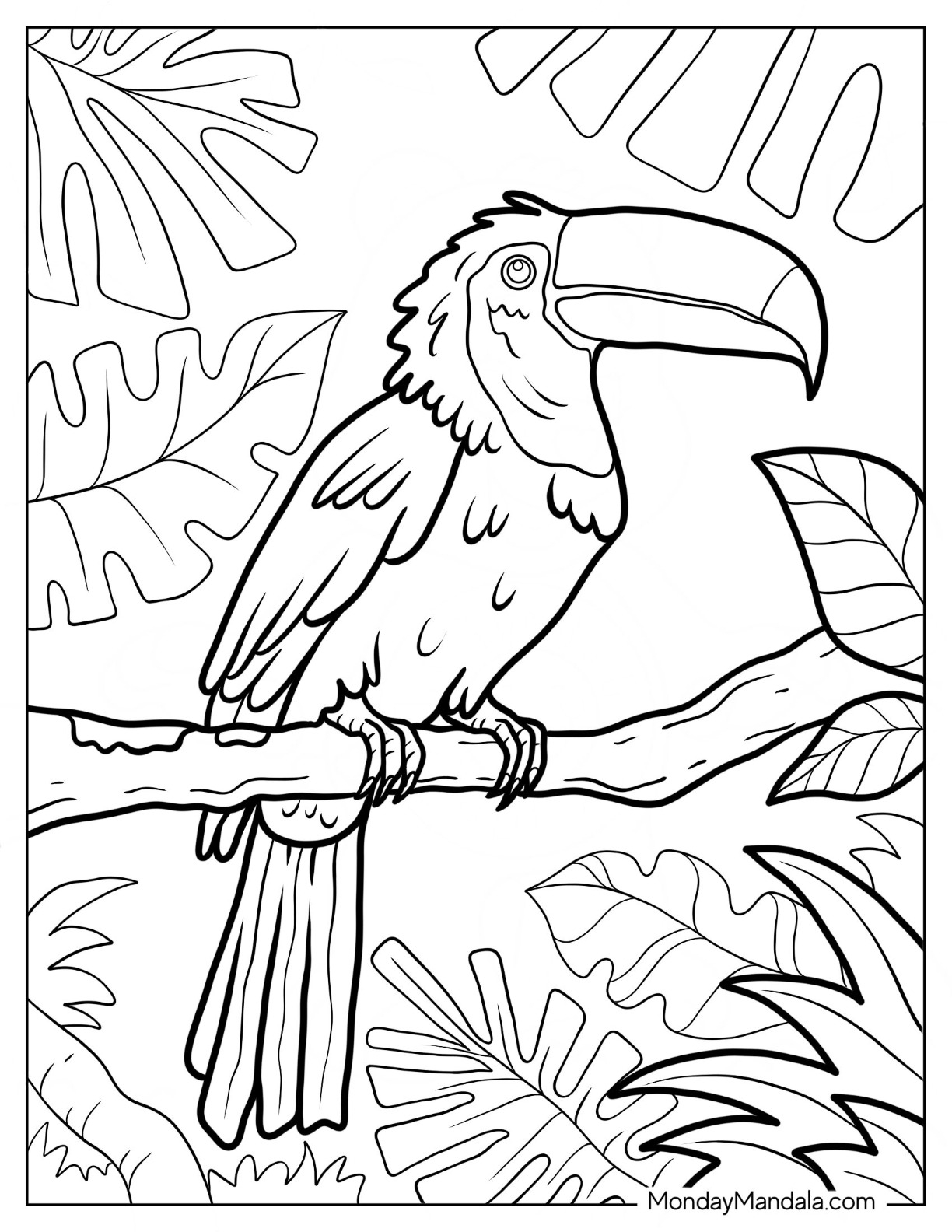 coloring pages of rainforest animals free printable coloring pages of rainforest animals free printable