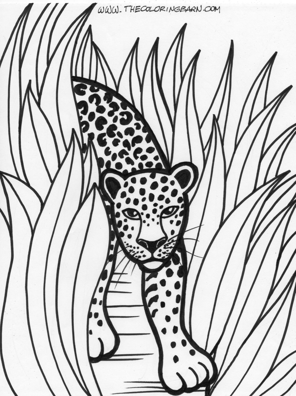 Rainforest Coloring Pages The Coloring Barn Rainforest Coloring Pages The Coloring Barn