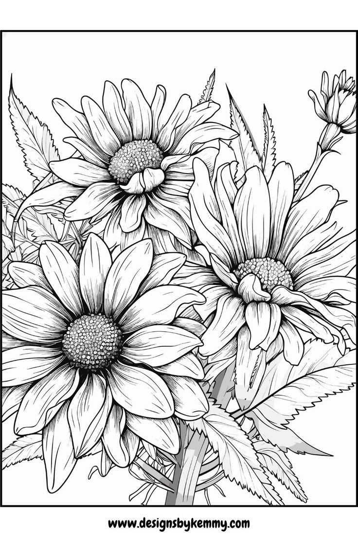 free printable coloring pages flowers free printable coloring pages flowers