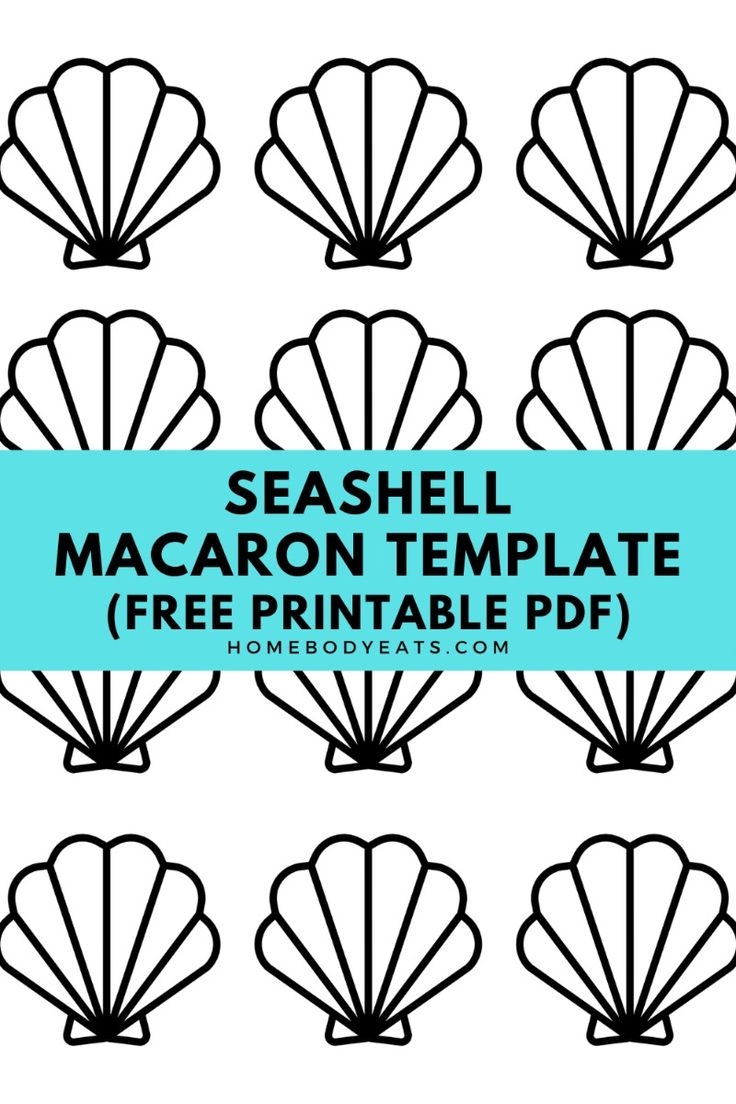 shell template printable shell template printable