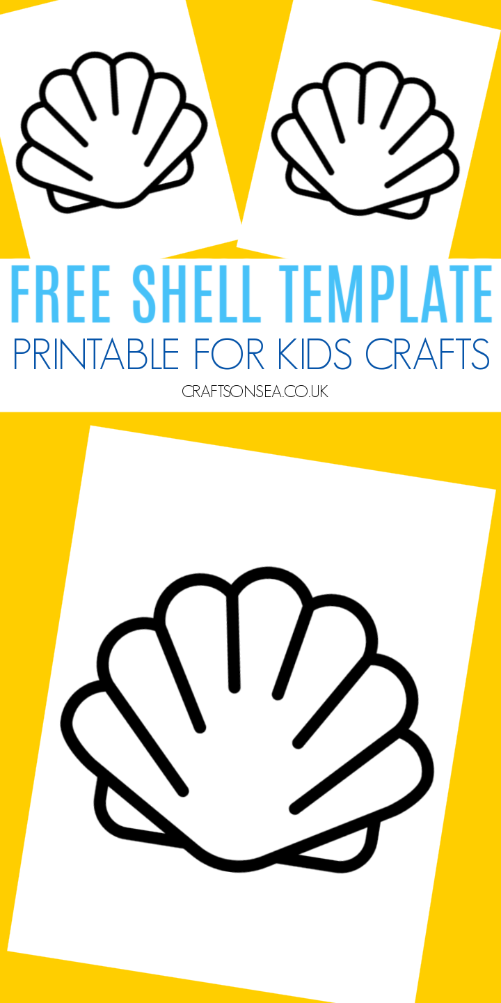 seashell template printable seashell template printable