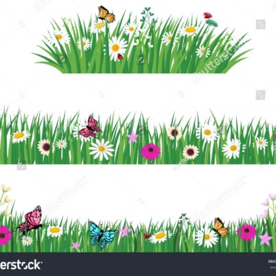 Set Green Grass Template Park Garden Stock Vector Royalty Free 794757073 Shutterstock