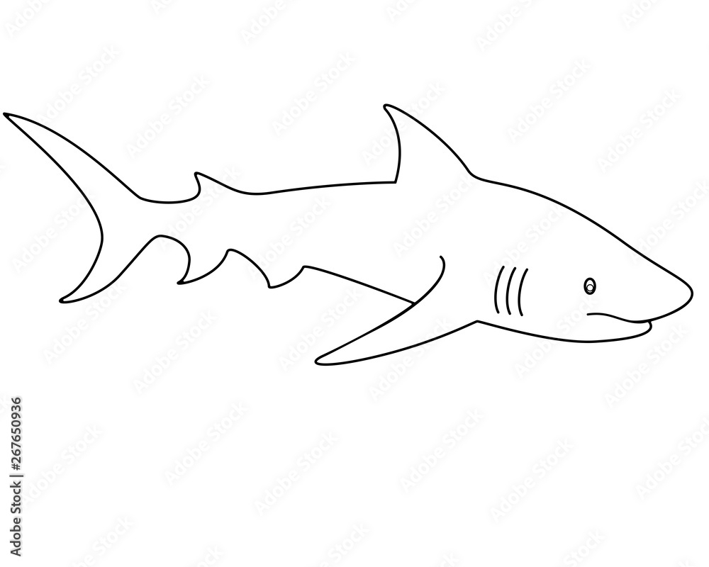 Shark Linear Vector Template For Coloring Outline Vector Animal Shark Fish Stock Vector Adobe Stock Shark Linear Vector Template For Coloring Outline Vector Animal Shark Fish Stock Vector Adobe Stock