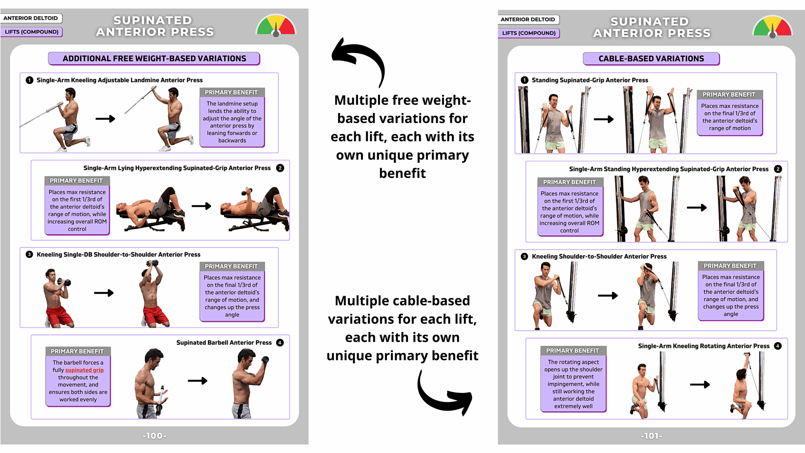 Shoulder Training Fundamentals