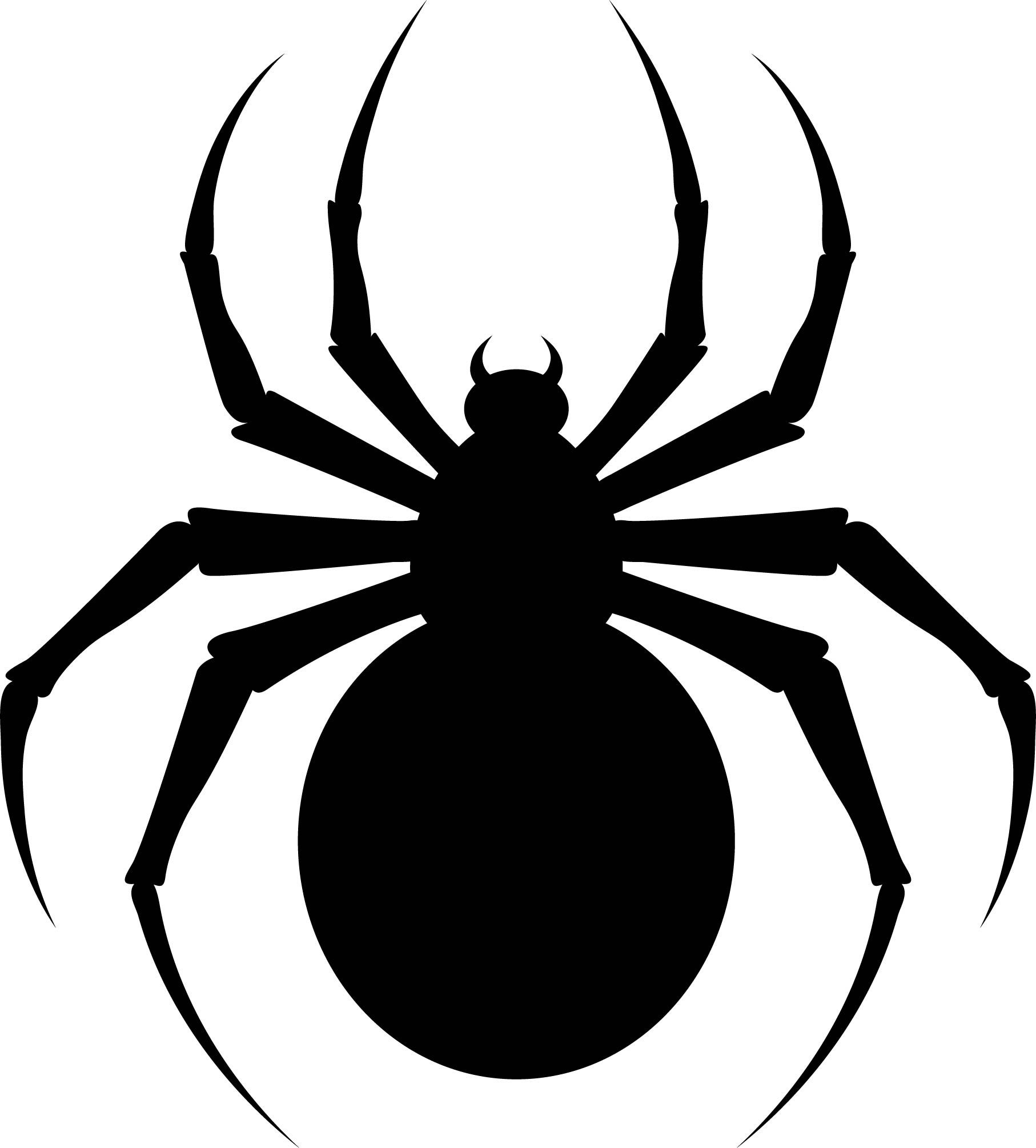 spider template printable spider template printable