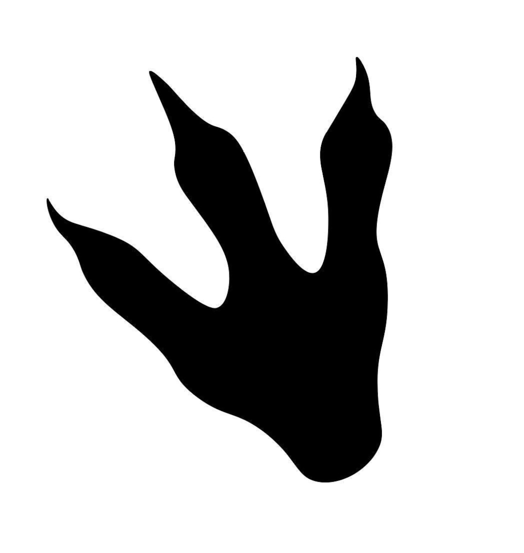T Rex Footprint Cut File T Rex Footprint Svg Dinosaur Footprint Svg Foot Print Svg Dinosaur Svg T Rex Svg Dinosaur Footprint PDF Print Etsy UK
