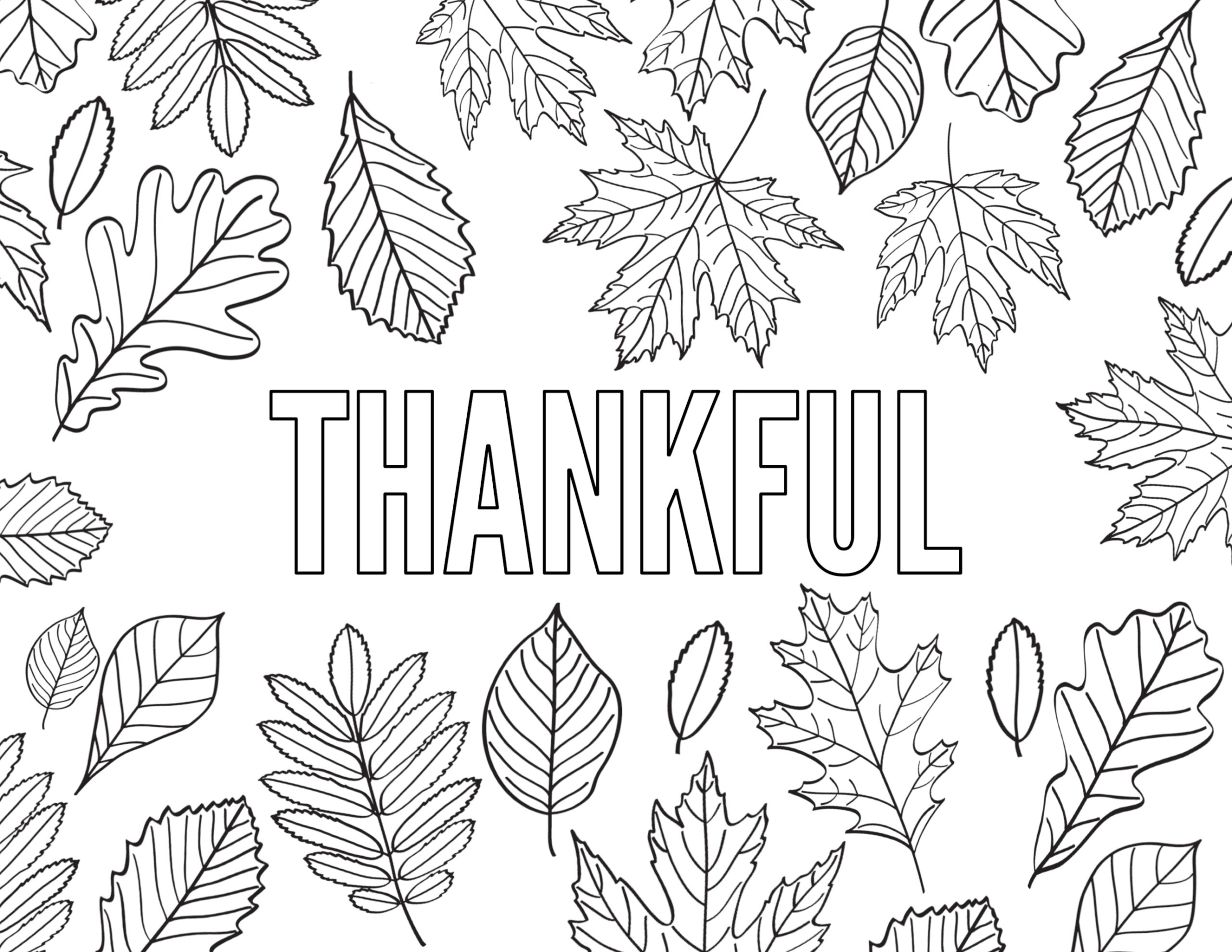 free printable coloring sheets thanksgiving