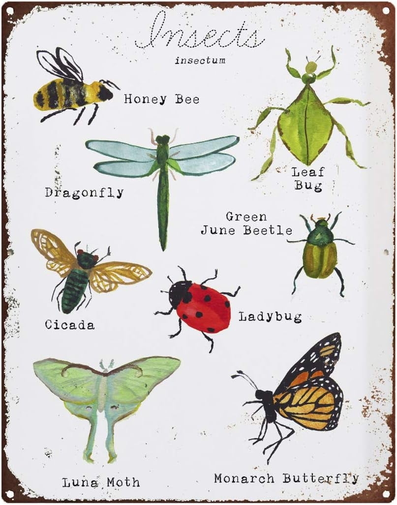 Tin Sign 8x5 5 Inch Vintage Metal Tin Signs Funny Printable Bug Wall Art Insect Field Guide Print Homeschool Decor Science Wall Art Bug Art Print Tin Signs For Men Walmart