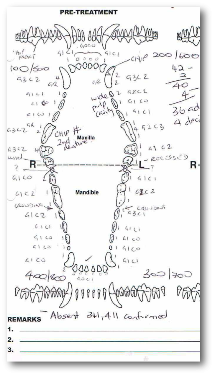 Veterinary Dental Charting For Dummies Vetanswers Veterinary Dental Charting For Dummies Vetanswers