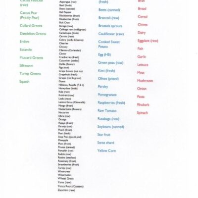 11 Bearded Dragons Ideas To Save Today Bearded Dragon Bearded Dragon Diet Bearded Dragon Care And More