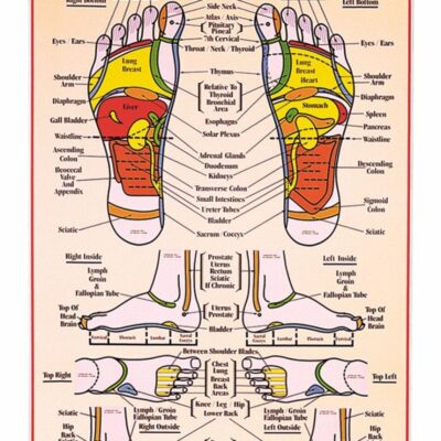 31 Printable Foot Reflexology Charts Maps TemplateLab