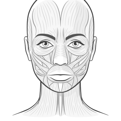 Face Charts Templates For Spas Salons And Tattoo Shops Mangomint Salon And Spa Software