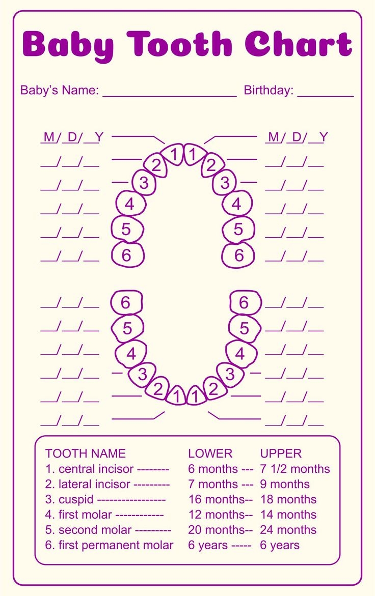 Free Printable Dental Tooth Chart