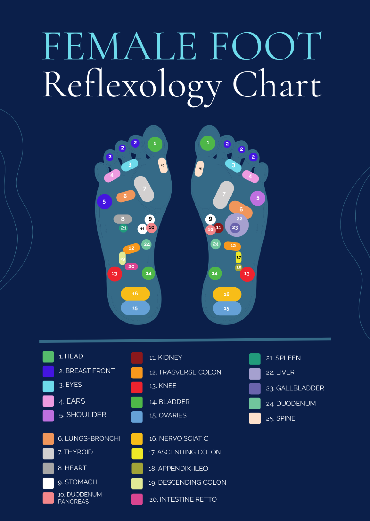 printable reflexology foot chart