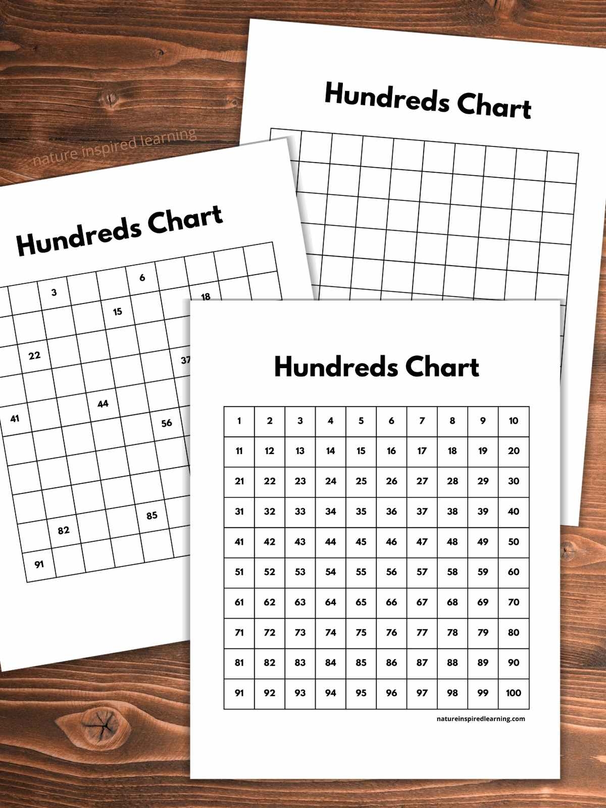 free one hundred chart printable