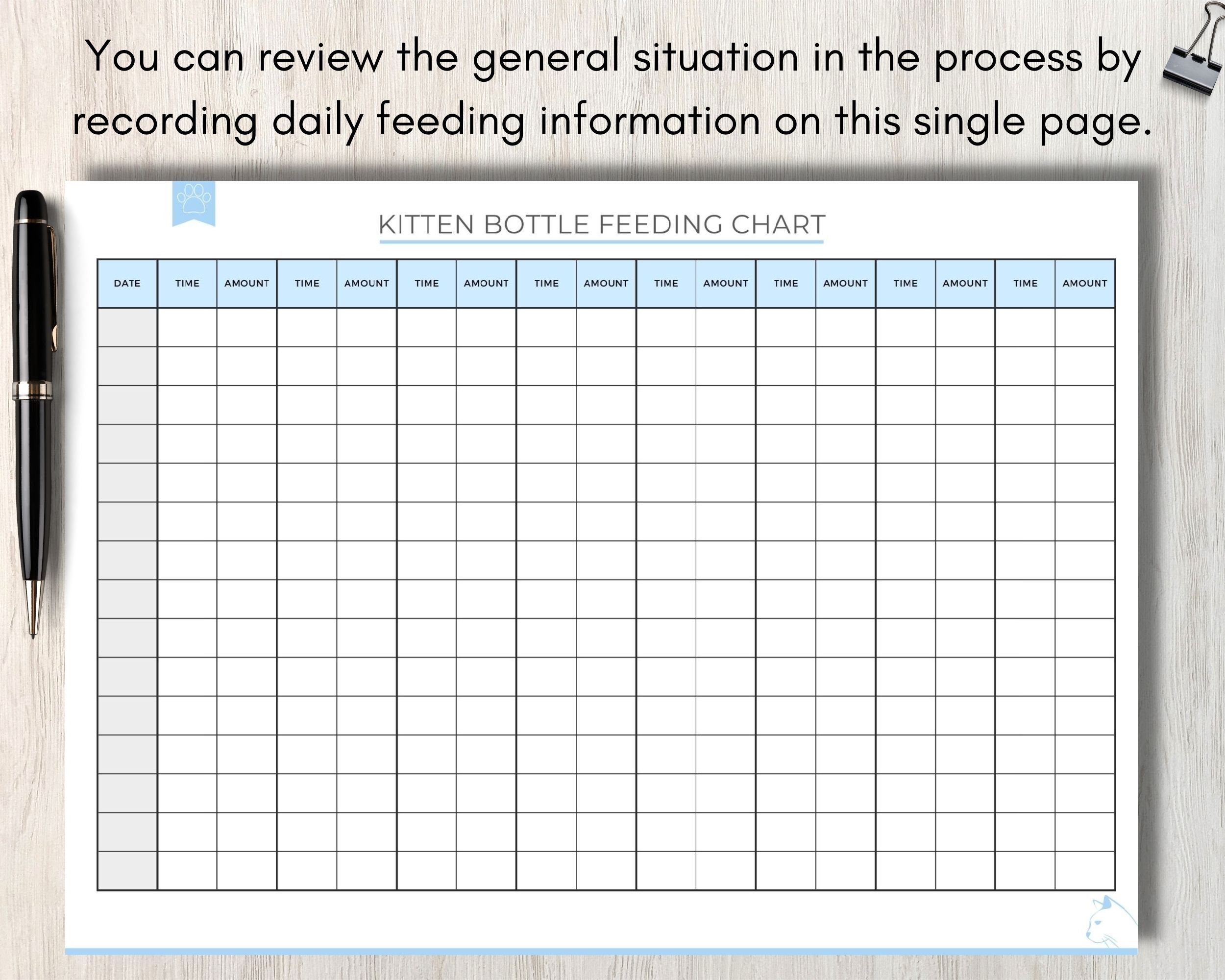 Kitten Bottle Feeding Tracker Newborn Cat Care Chart printable PDF Etsy